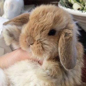 Meet your Posher, Marla